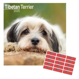 Tibetan Terrier Calendar 2025 | 12 months | with FREE Organisational Stickers | includes a Planning Page for 2026
