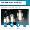 Hizashi Vintage LED Light Bulb Dimmable, 6W Equivalent 60W, 5000k