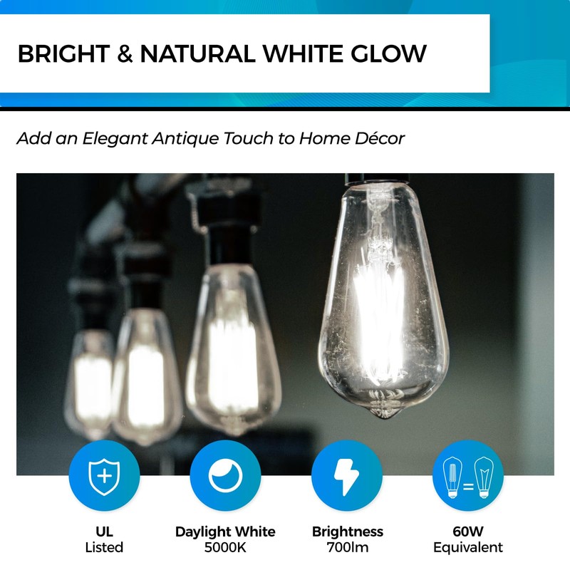 Hizashi Vintage LED Light Bulb Dimmable, 6W Equivalent 60W, 5000k