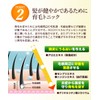 STAY FREE ROCKY SCALP ESSENCE Medicated Scalp Care Tonic [Quasi-Drug]
