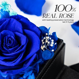 Otuo Preserved Roses Gift Jewerlry Box, Real Eternal Rose Flower with Necklace and Led Mood Light, Gifts for Girlfriend, Mom, Women, Wife, Mother's Day, Birthday, Valentine's Day (Blue)