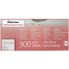 Hahnemühle Expression Watercolour Pad, 20 Sheets, 300 g, 24 x 30 cm, 100% Cotton, Mühle du Coq Made in Germany