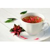 Wild Bergamot Petals – Pure, Dried, Natural Scarlet Beebalm Petals