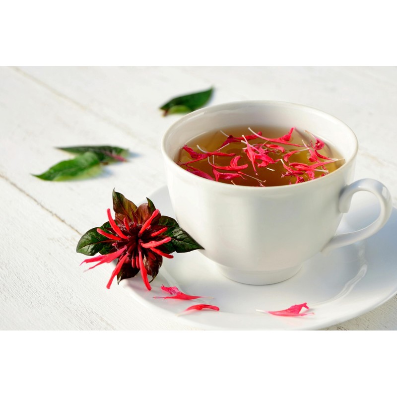 Wild Bergamot Petals – Pure, Dried, Natural Scarlet Beebalm Petals