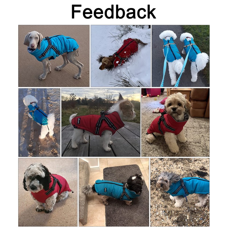 MOREZI Winter Dog Jacket, Waterproof Outer Layer, Fleece Lining, Back