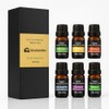 Bluelander Set de 6 Aceites Aromáticos para Difusor, Set de