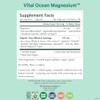 Pure Synergy Vital Ocean Magnesium for Energy & Sleep 60
