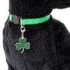 Green Cat Collar Green Shamrock Charm Safety Breakaway Adjustable Neck