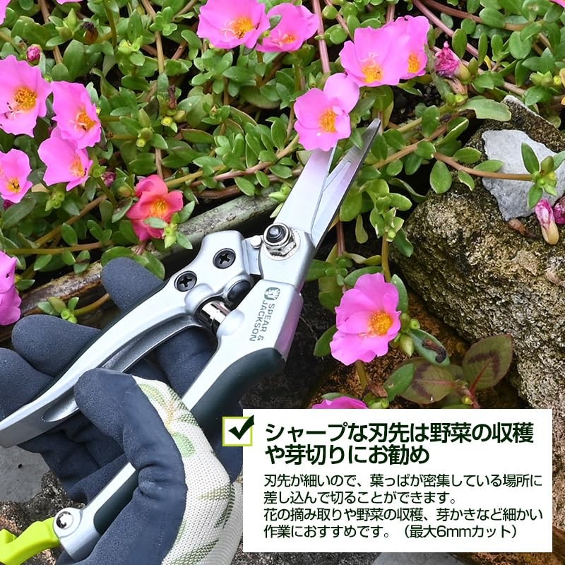 Spear & Jackson Kew Gardens Razorsharp 4172KEW Garden Snips