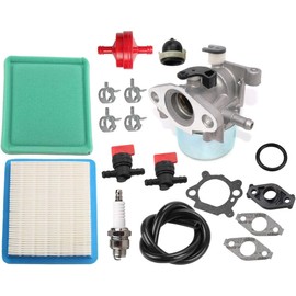 Hippotech Carburetor with Air Filter for Toro 20330 20331 20332 20333 20334 20092 20093 20095 20064 20065 20066 Carb Replaces Briggs and Stratton 799871 799866 790845 796707 794304