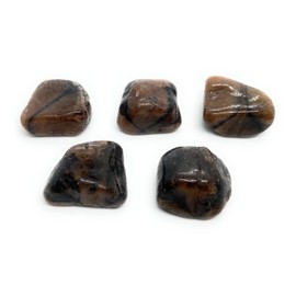 Chiastolite Medium Crystal Tumble Stone - 1 Pc