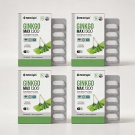 ANGET ORIGIN Enget Origin Ginkgo Max 1300 Ginkgo Leaf Extract 30 Capsules 4 Boxes / 엔젯오리진 징코맥스 1300 은행잎추출물 30캡슐 4박스