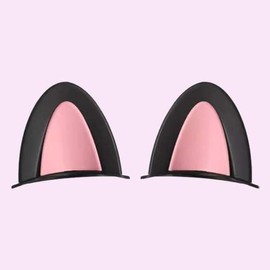 JQ Rider helmet cute custom wings tuning animal ears / 라이더 헬멧 귀여운 꾸미기 날개 튜닝 동물귀