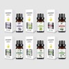 [Out] Aroma Oil Plant Jasmine Oil 10ml DD-12743 - Lily／FREE / [아우트]아로마 오일 식물 자스민오일 10ml DD-12743 - 릴리／FREE