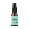 Black Chicken Remedies Hydrate My Face Toning Mist, 15ml