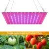 LED Grow Light Red Blue Full Spectrum 81 LEDs Grow