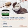 Live Conscious Beyond Greens Concentrated Superfood Powder - Matcha Flavor