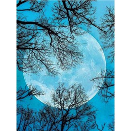 ARAZADR Stamped Kit for Adults Embroidery Beginner and Kids-Dusk and Moon,DIY Needlepoint Kits Cross Stitch Kits Stamped Full Range of Embroidery Starter Kits for Beginners DIY-Moon 11.81×15.75 Inch