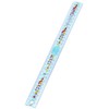 Helix Oxford Geo 30cm Folding Ruler - Orange
