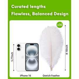 NEWONG 30pcs White Ostrich Feathers Natural Bulk 8-10inch(20-25cm) Vase Craft Wedding Home Party Centerpieces Christmas Day Decoration