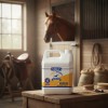 Mass Caballo Galon Aceite Vegetal