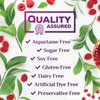 Sugar Free Fiber Gummies for Adults, Daily Prebiotic Natural Soluble