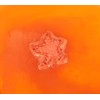 Holler and Glow Counting Stars, Starfish Shaped Bath Fizzer