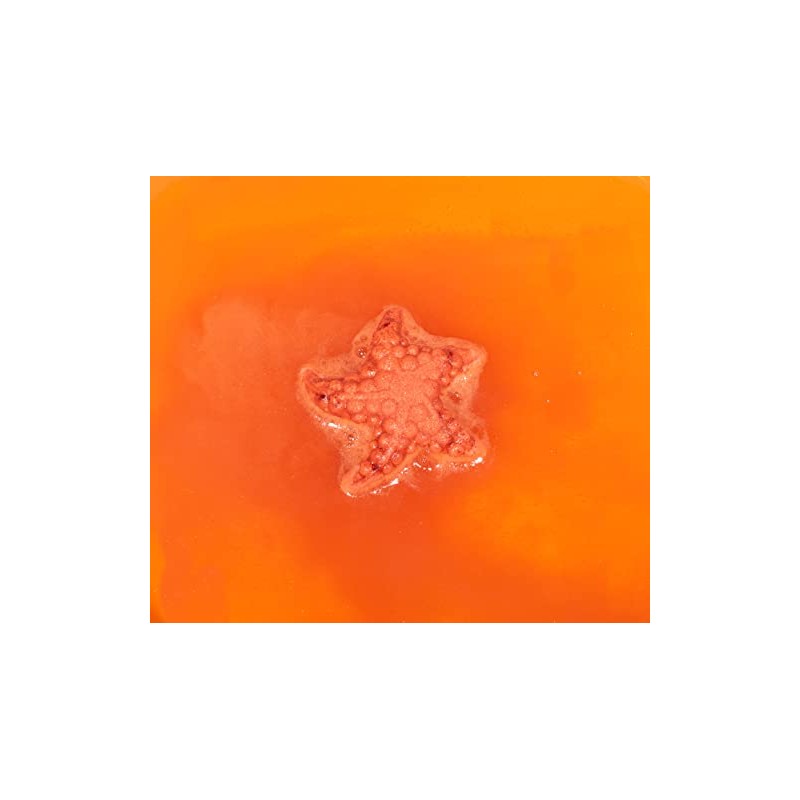 Holler and Glow Counting Stars, Starfish Shaped Bath Fizzer