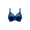 Elomi Cate Full Coverage Bra: Comfort, Support, & Elegance. Dd+