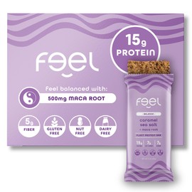 Feel Vegan Protein Bars | Caramel Sea Salt | Keto | Gluten Free | Organic | Maca Root | 15g Plant Protein | Low Carb | High Protein | Dairy Free | Low Sugar | Nut, Grain, Soy Free | 10 Pack