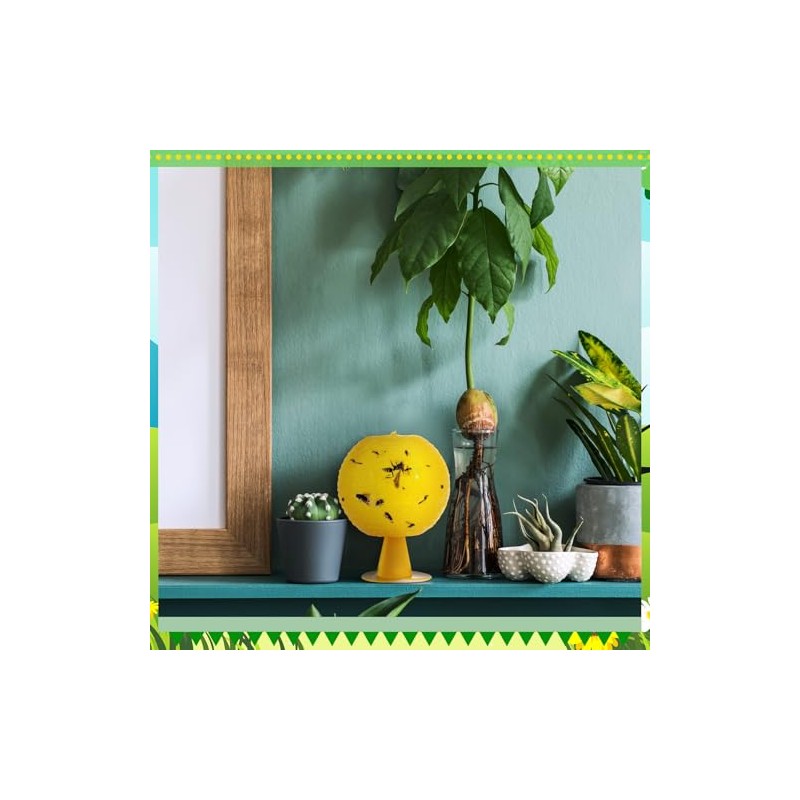 Qualirey Fruit Fly Sticky Trap Balls - 10 Pack Gnat