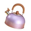 Water Kettle Stainless Steel Whistle Water Kettle Large Capacity Flat