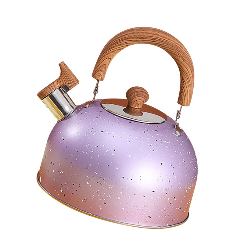 Water Kettle Stainless Steel Whistle Water Kettle Large Capacity Flat