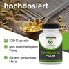 Omega 3 Plus 3x Strength, 1000 mg Fish Oil, 500