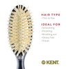 Kent CSGS Classic Shine Small Oval Cushion Straightening Brush and