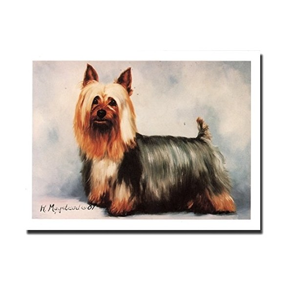 Silky Terrier Profile Notecards