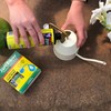 SUPERthrive Original Plant Vitamin Solution with Kelp for All Plants,