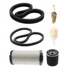 TIKSCIENCE Golf Cart Tune Up Kit with Drive & Starter