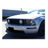 Ford Mustang 2005 2009 Cuartos Direccionales 2006 2007 2008