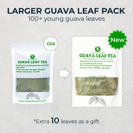 Dried Young Guava Leaves - 100+ Whole Leaves (+10 Leaves), Hojas de Guayaba, Caffeine Free, No Sugar Added, Vacuum Sealed, Pure & Handpicked, Healthy Guava Leaf Tea