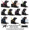 Dexil Service Dog Blue Color Coded L-XL Buckle Collar (15-25"