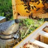 Stoney Acres Beekeeping Top Feeder, with Floats, for 10 Frame