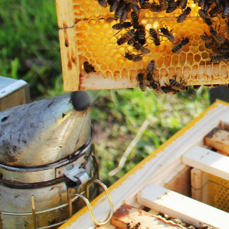 Stoney Acres Beekeeping Top Feeder, with Floats, for 10 Frame