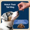 Blue Buffalo Bits Soft Dog Treats for Training, Made with
