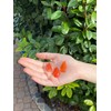 Starborn Carnelian Sarder Natural Gemstone Arrowhead Approx. 3 cm from