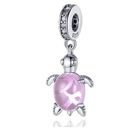 Pandach C39 Women's Charm Pendant for Bracelet, 925 Sterling Silver Charms Beads Fits Bracelet and Necklace, Compatible with European Bracelets for Women and Girls, Sterling Silver