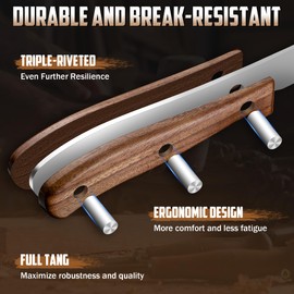 DRAGON RIOT Steak Knives Set of 8, Ultra Sharp Steak Knife Set Japanese VG-10 Stainless Steel Non Serrated Steak Knives Full Tang Wood Handle with Gift Box