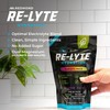 REDMOND Re-Lyte Hydration Electrolyte Powder Mix, Variety Pack, 30 Stick