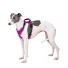 APDEXY No Pull Dog Harness with Back Control Handle for