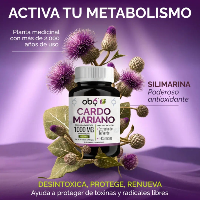 Cardo Mariano Silimarina 100 Natural Extracto Verde Carnitina Milk Thistle